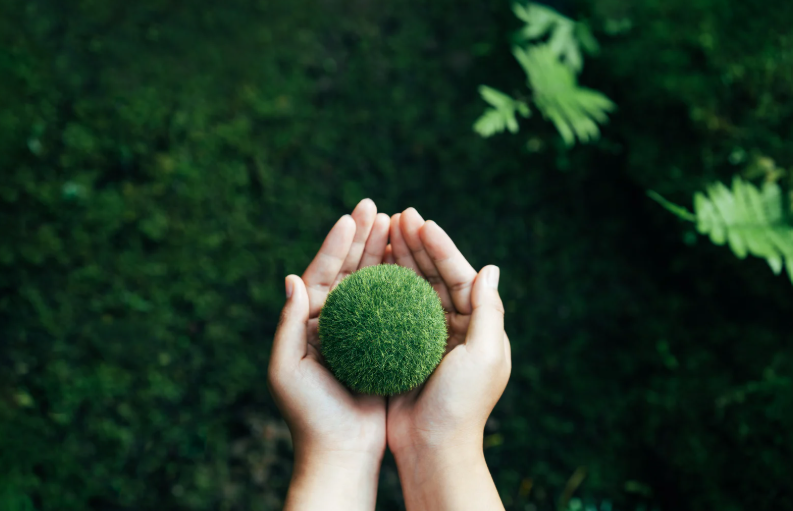 sustainability